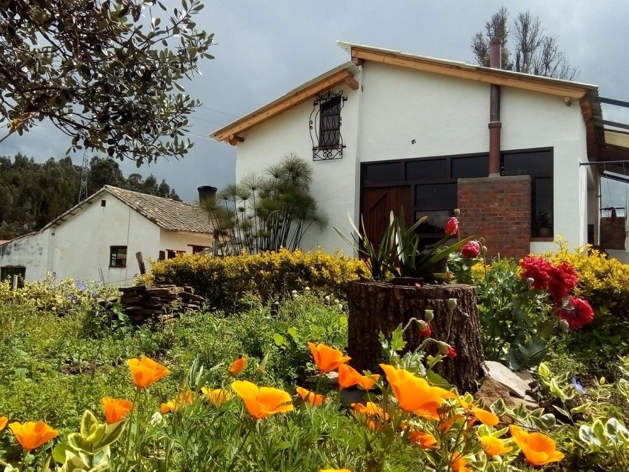 Cabanas & Glamping De Ruana Por Boyaca بايبا المظهر الخارجي الصورة